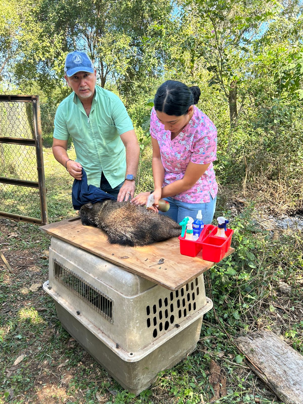 Veterinarios